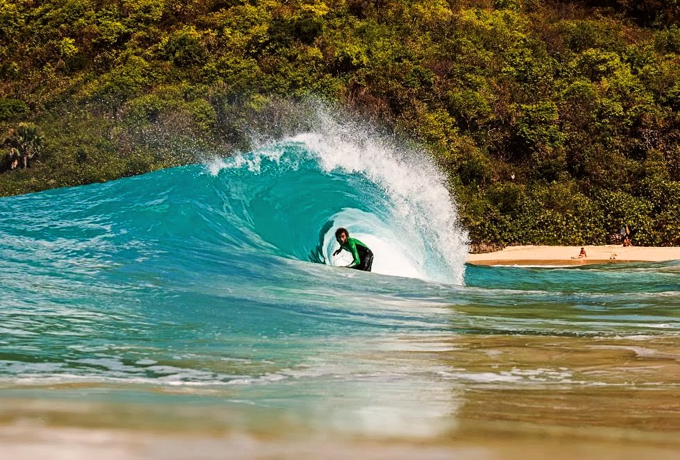 Onda tubular verde quebrando junto a uma praia de vegetação nativa